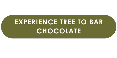 experience-ttb.png