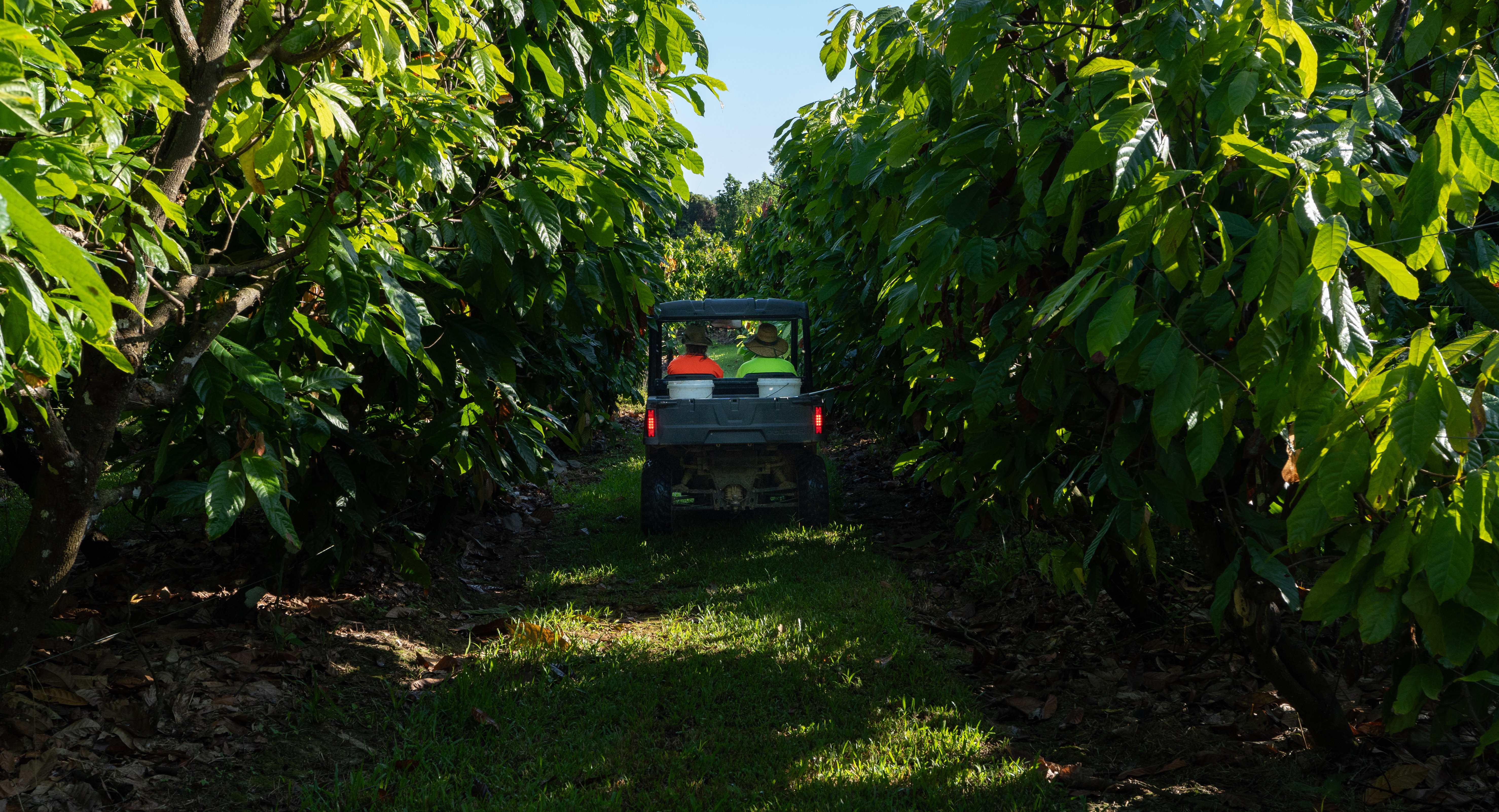 farm-10.jpg