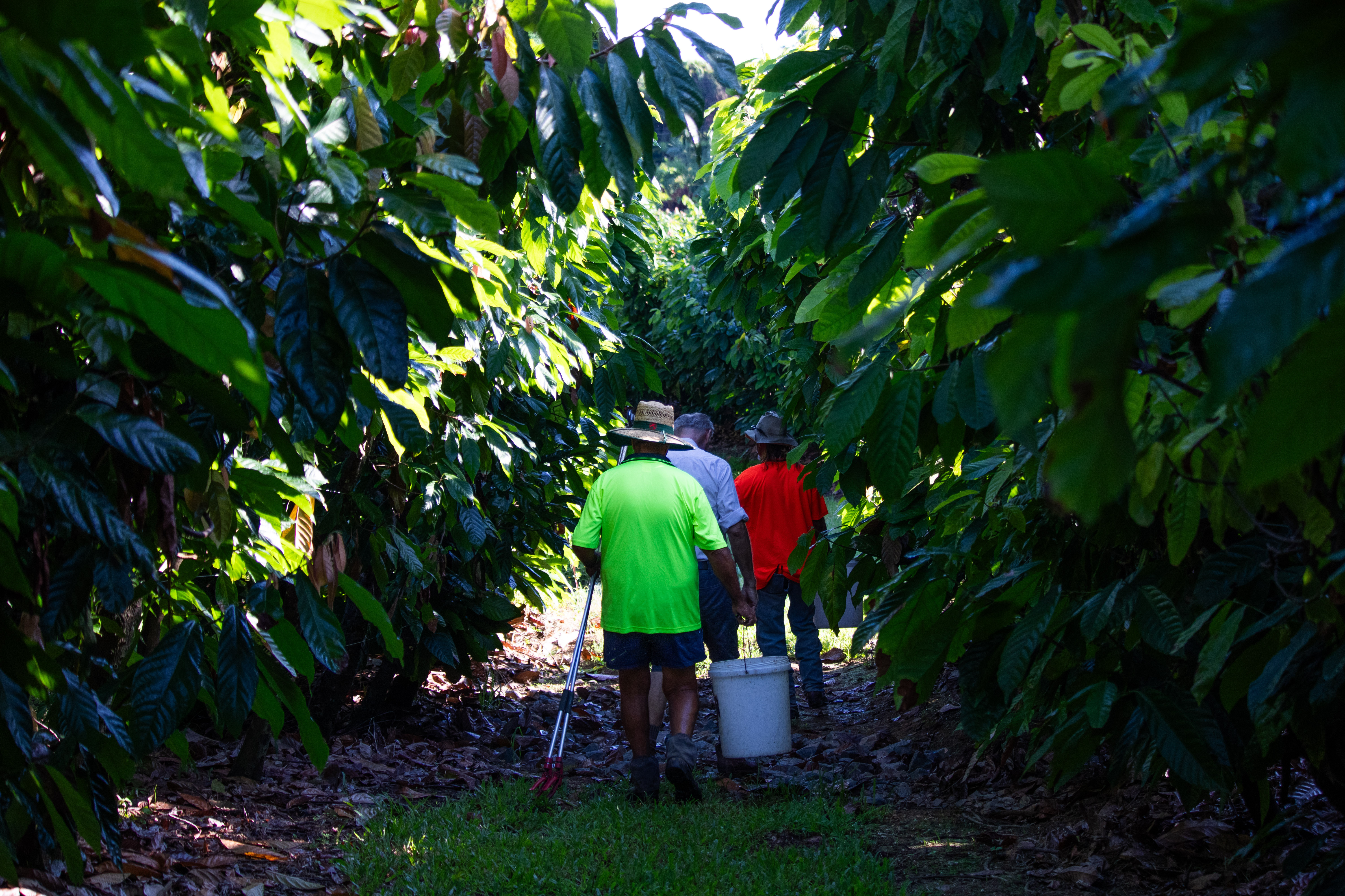 farm-27.jpg