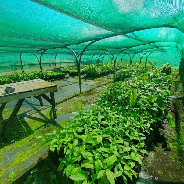 nursery.jpg